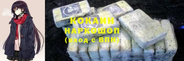 индика Заволжье