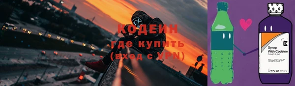 твердый Ельня
