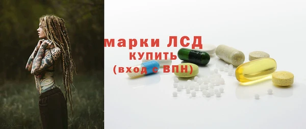 индика Заволжье