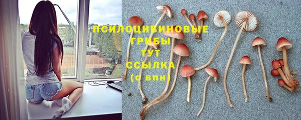 мяу мяу кристалл Елизово