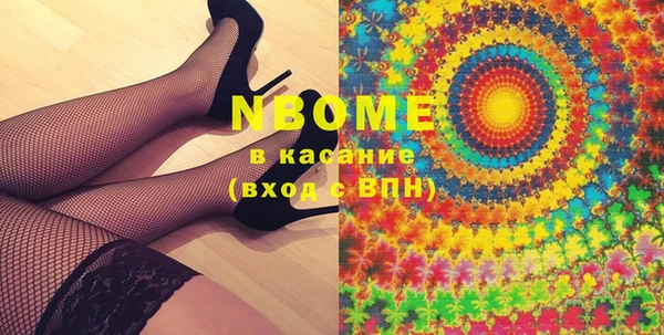 индика Заволжье