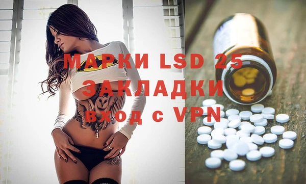 индика Заволжье