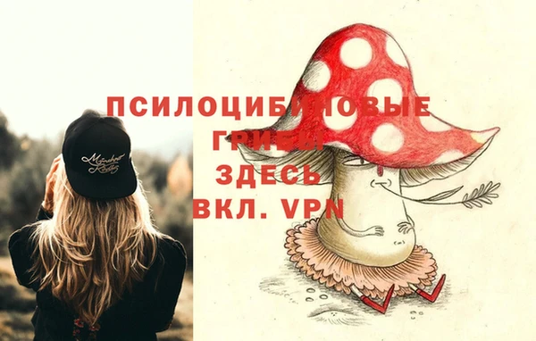 твердый Ельня