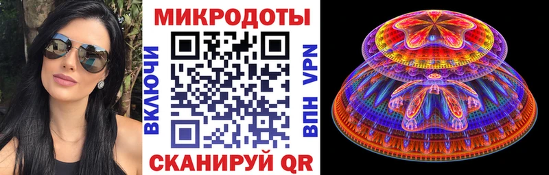 Псилоцибиновые грибы Psilocybe  Ростов 